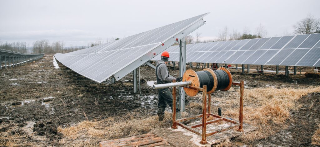 A worker looks over a solar farm